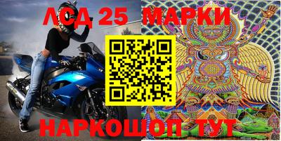 тгк Кингисепп