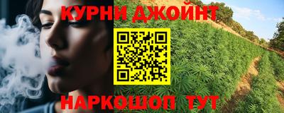тгк Кингисепп