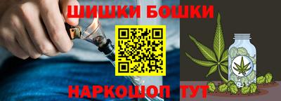 тгк Кингисепп
