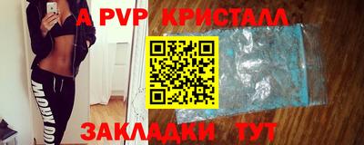 тгк Кингисепп