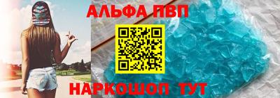 тгк Кингисепп