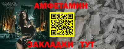тгк Кингисепп