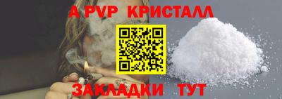 тгк Кингисепп