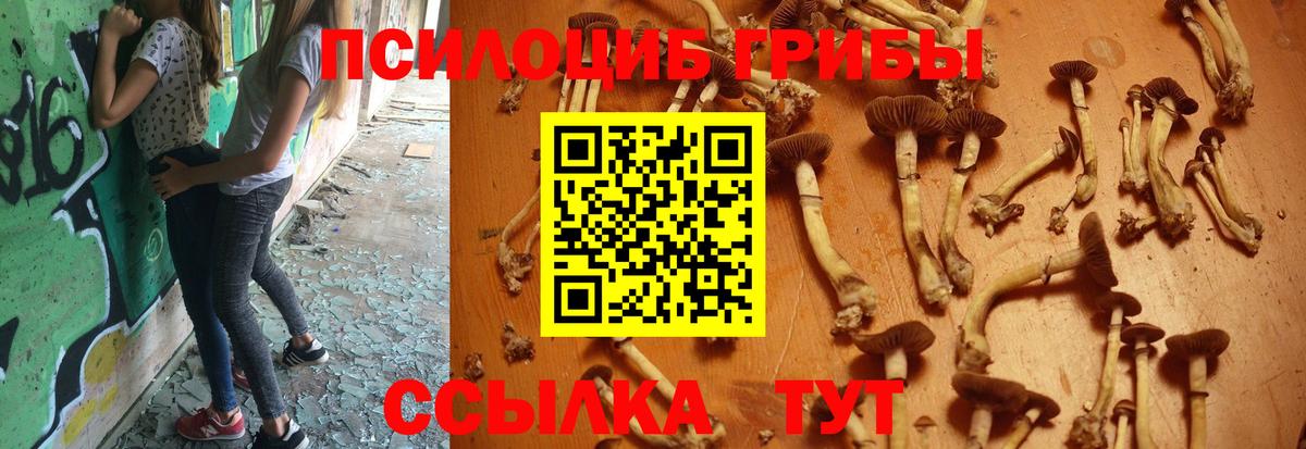 Псилоцибиновые грибы GOLDEN TEACHER Вязьма